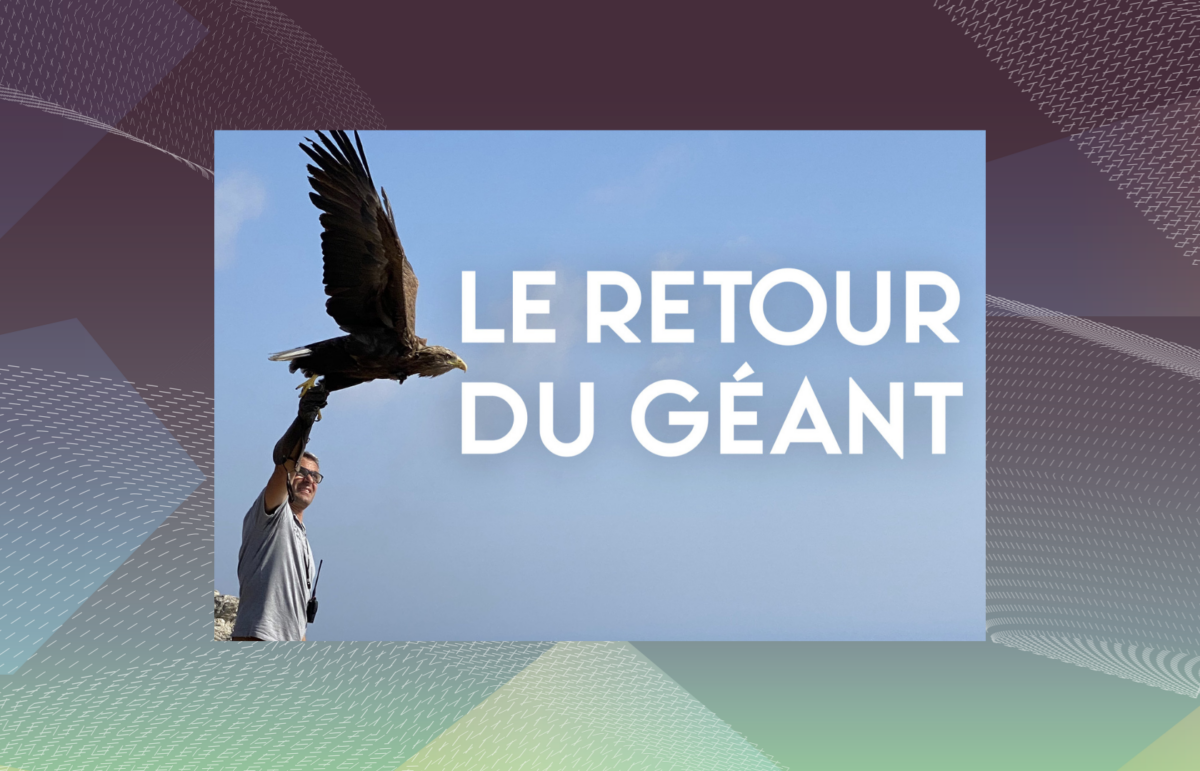 Le retour du Géant